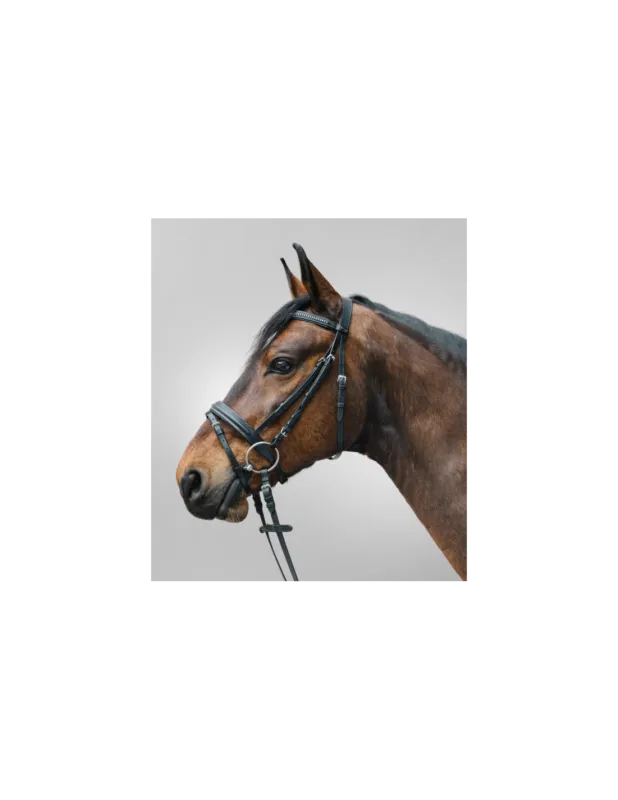 Retour Gratuit Bridon Diamond – STAR – Noir – Mini Shetland