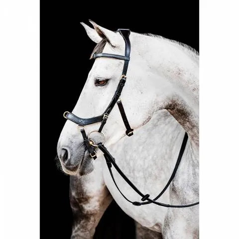 Promotion Bridon Rambo Micklem 2 Multibride – Horseware – Cheval – Noir