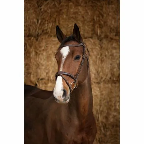 Bridon Pro Perle Marron – Norton – Cheval Authentique