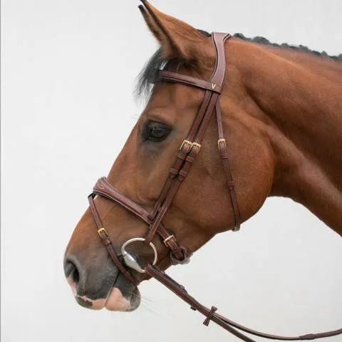 Bridon ergonomique HVM - Confort optimal - brun - cheval Prix Bas