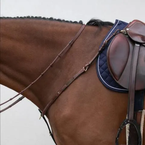 Livraison Express Collier de chasse classique HVM - Stabilit - brun - cheval