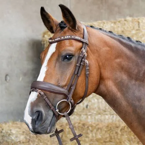 Bridon Soft Bombastic Crystals – HARRY&rsquo;S HORSE – Marron – Cob Usine Directe
