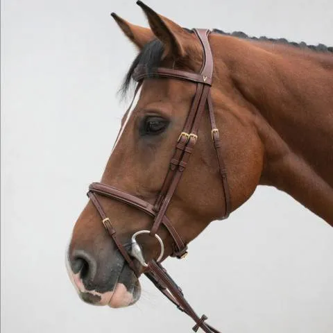 Top Vente Bridon classique – HVN – Confort et stabilit – brun – cheval