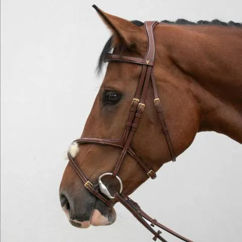 Bridon crossline avec muserolle mexicaine – HVN – brun – cheval Offre Du Jour