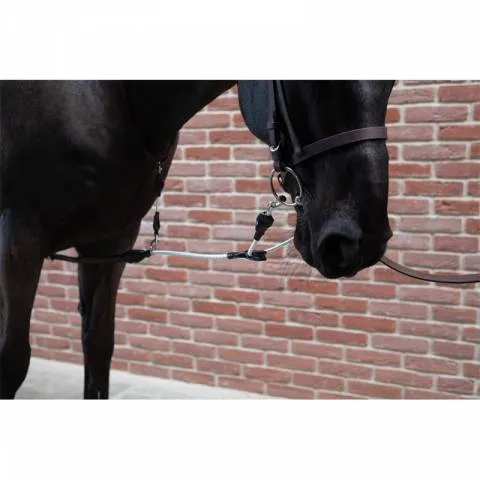 Enrnement irlandais – PETITPAS – Innovation pour chevaux Prix Choc
