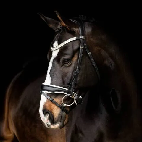 Promotion Muserolle noir anatomique double blanc - SD Design - Cheval