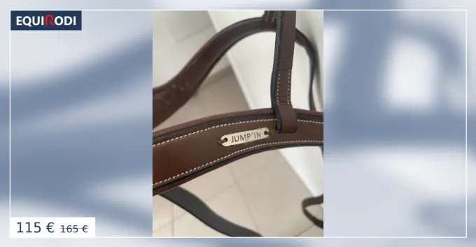 Vente Flash Collier de chasse 5 points Jump'in + martingale anneaux