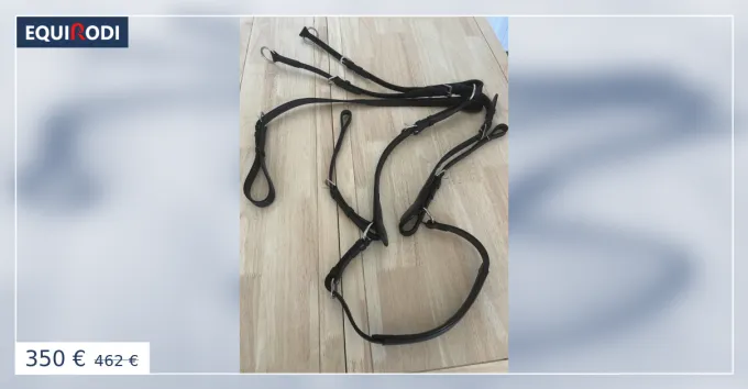 Authentique Collier de chasse Bruno Delgrange + martingale amovible