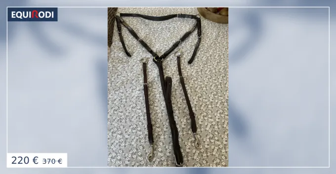 Collier de chasse CWD Commande En Gros