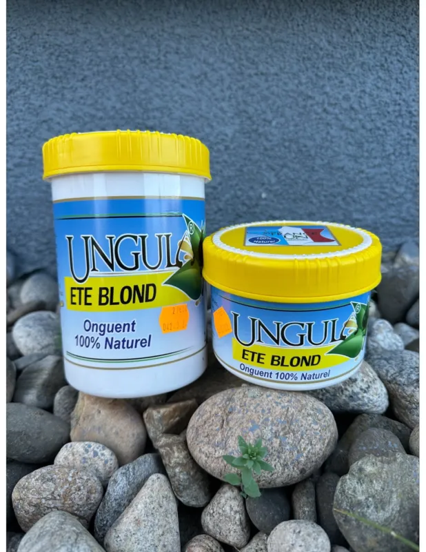 Expdi Aujourdhui Onguent t Blond – Ungula – 480ml
