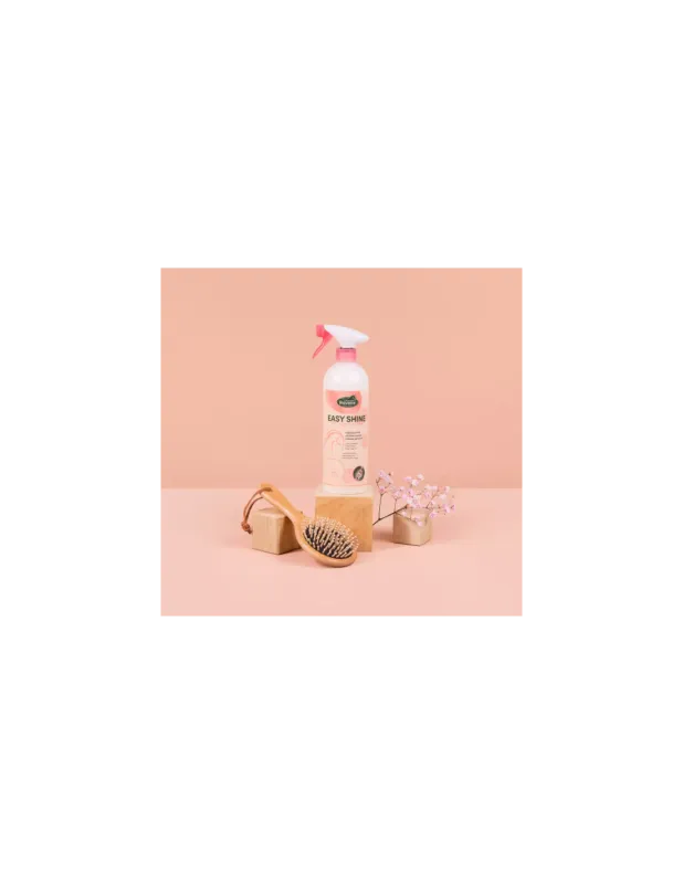 Easy Shine - Ravene Acheter En Ligne