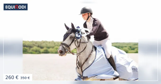 Meilleur Prix Bridon in horse we trust frontal disco vague parfait
