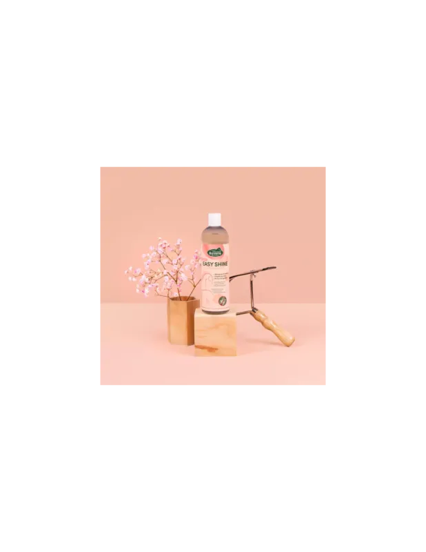 Easy Shine Shampoo - Ravene Promotion