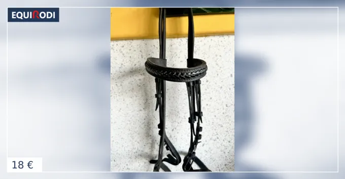 Filet cuit noir cheval Petit Prix