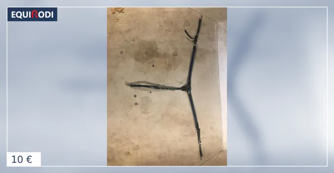 Collier de chasse quadrije taille poney Expdi Aujourdhui