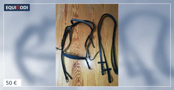 Vends filet taille cheval Petit Prix