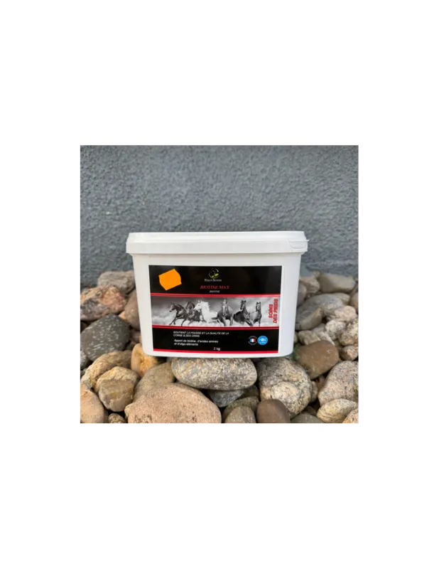 Biotine Max Equi-Soins Offre Limite