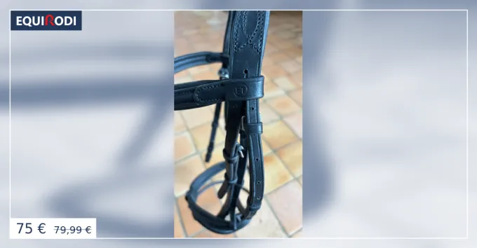 Prix Choc Filet et rnes taille cheval