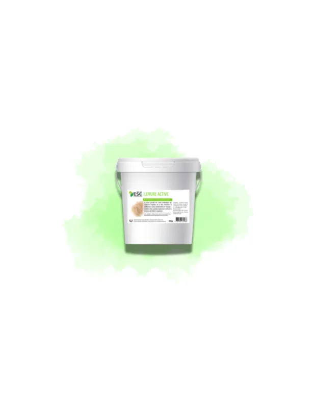 Pas Cher Levure Active + - Flore intestinale et digestion
