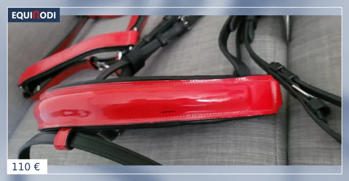 Livraison Express Filet + Licol rouge verni Taille Cheval