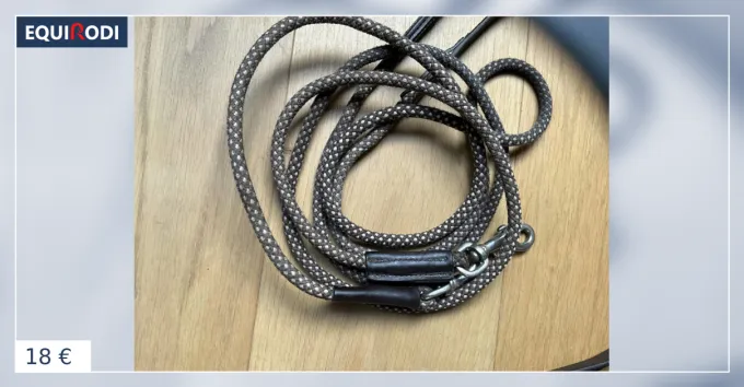 Nouvel Arrivage Rnes allemandes