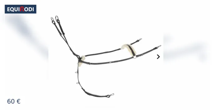 Collier de chasse Promotion Saisonnire