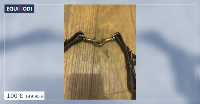 Livraison Express Collier de chasse