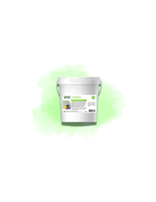 Cicargile – Favorise la rgnration naturelle de lpiderme Expdition Rapide
