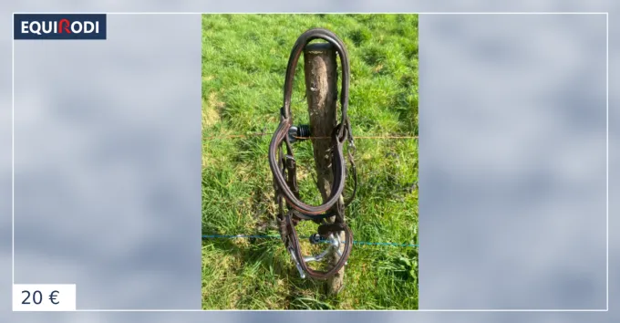 Filet taille poney Certifi