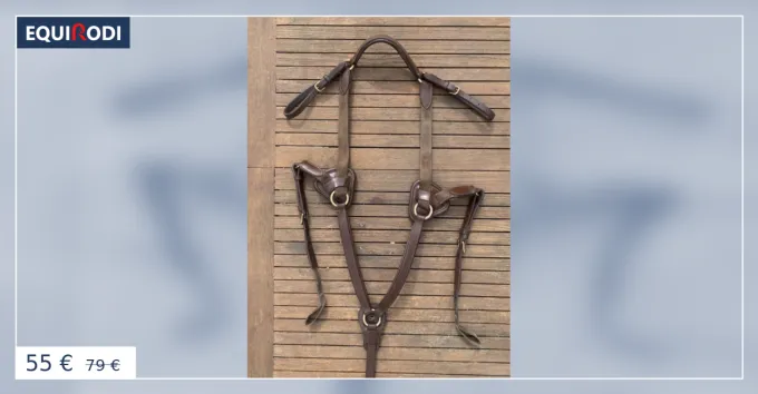 Promotion Saisonnire Collier de chasse + martingale Time Rider