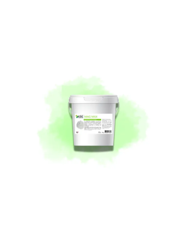 Populaire Mag Max - Magnsium marin, vit B6 et taurine - Dfatiguant musculaire