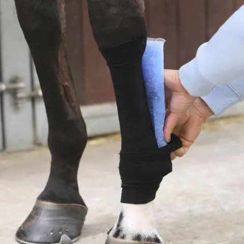 Bande pour chaussettes Tendon Grip - Kentucky - Noir Offre Limite