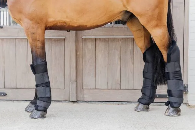 Offre Du Jour Guetre de repos PROtect Classic - KENTUCKY - Noir - Postrieur - L