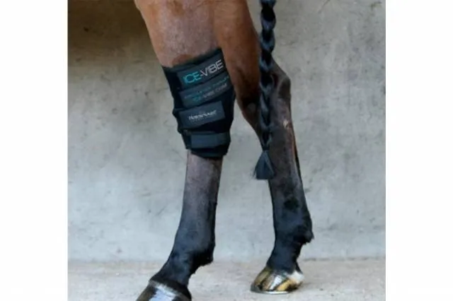 Certifi Ice-Vibe pour les jarrets du cheval - cheval