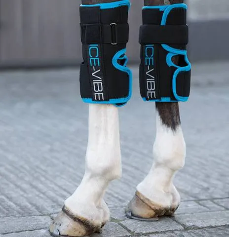 Vente Directe Genouillres Ice-Vibe by Horseware – NOIR – FULL