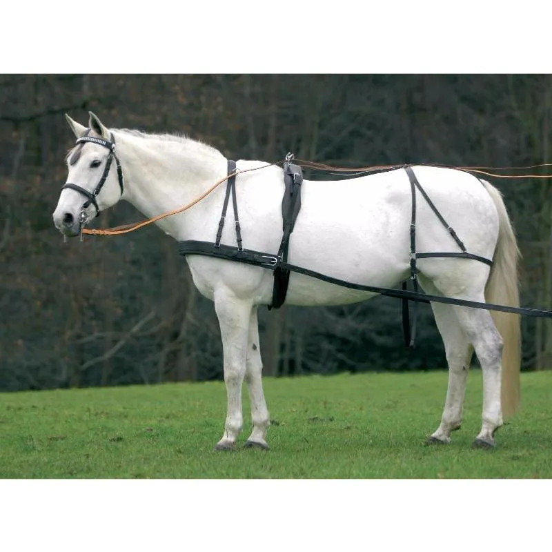 WALDHAUSEN – Harnais d&rsquo;Attelage Cheval Complet en Cuir COB  Trait PONEY D/PUR-SANG Prix Choc