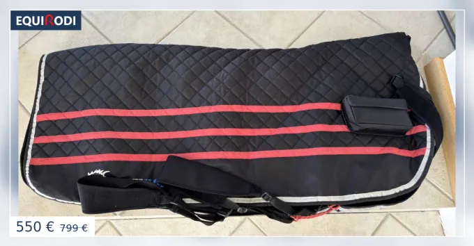 Tapis massage E-Zihorse Livraison Express
