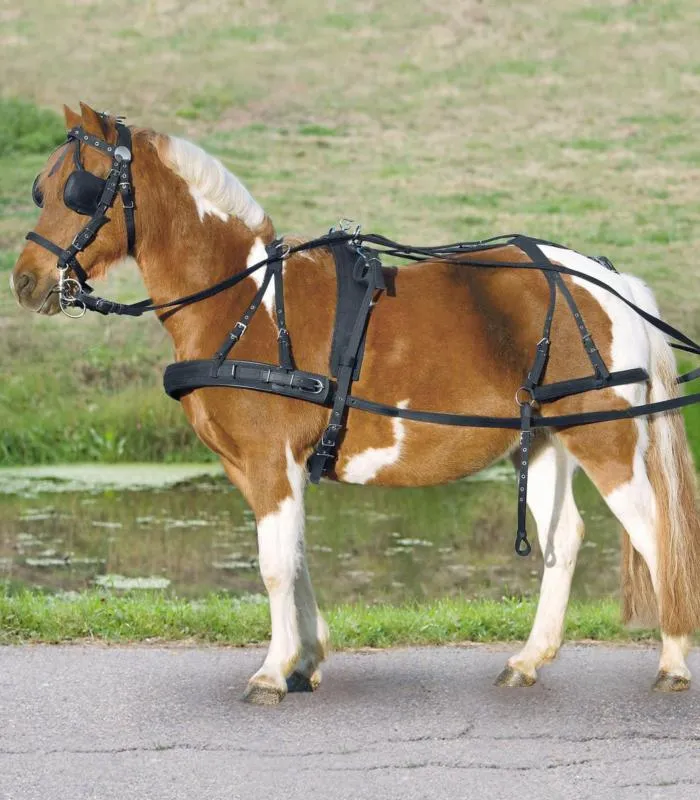 Solde WALDHAUSEN – Harnais d&rsquo;Attelage Synthtique PONEY, SHETLAND STAR, SHETLAND