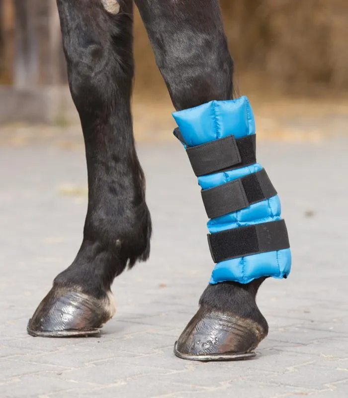 WALDHAUSEN - Gutre de Soin Effet Froid pour Tendons PONEY Usine Directe