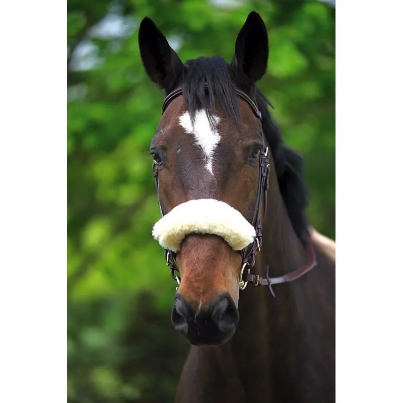 Meilleure Vente Fourreau de Muserolle en Mouton Vritable, TATTINI Naturel EN STOCK