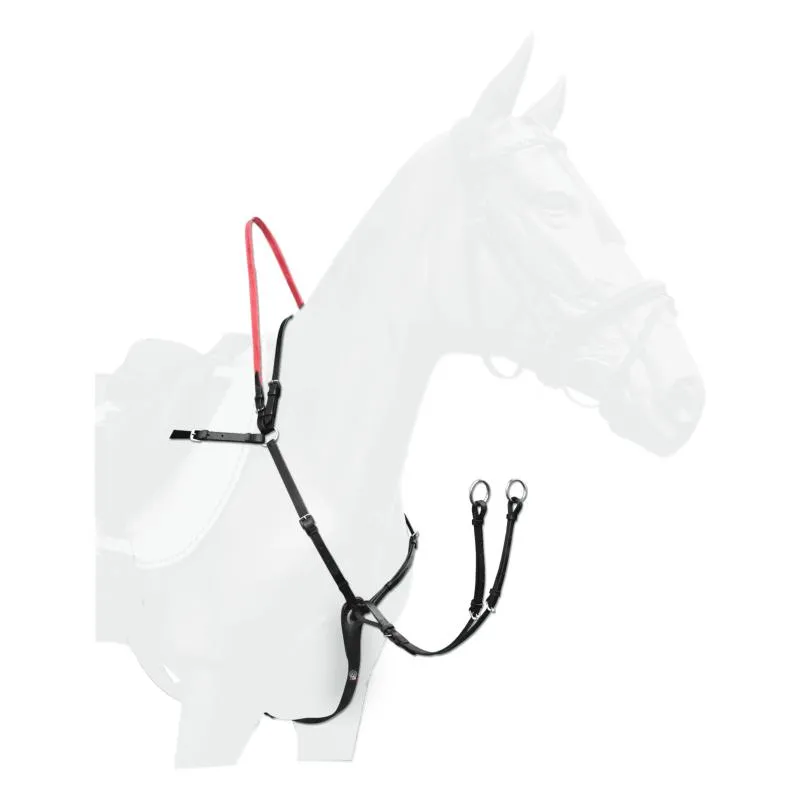 Seulement Aujourdhui Collier de Chasse + Poigne de Scurit, WALDHAUSEN PONEY
