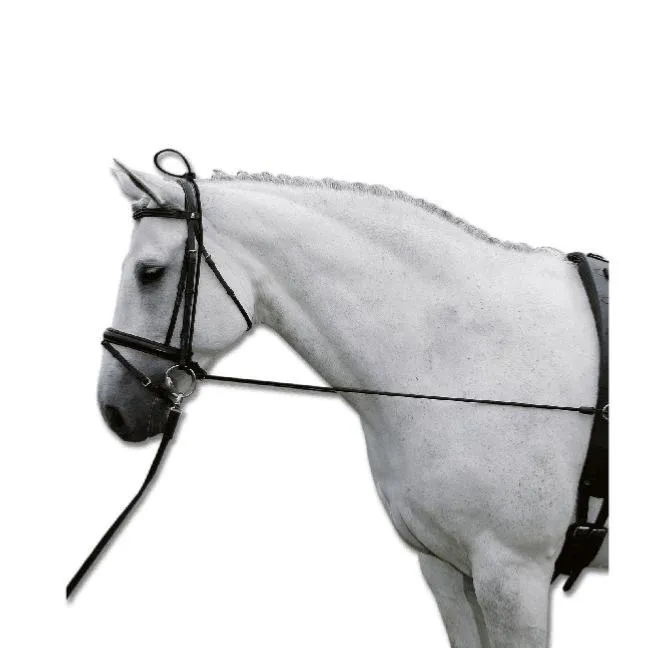 lastique pour Travail Mont ou en Longe PONEY Affaire Saisir