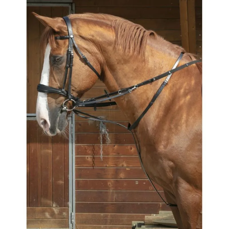 Offre Exclusive NORTON PRO - Enrnement Thiedeman ou Howlett en cuir NOIR en STOCK