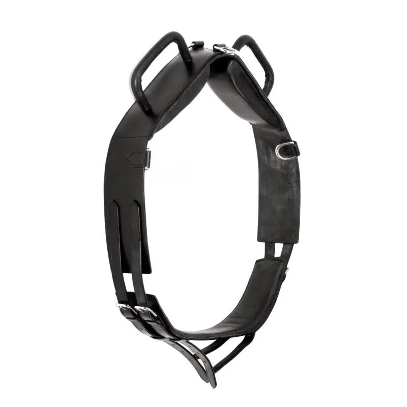 AMAHORSE – Surfaix de Voltige Cuir avec Poignes Rectangle PONEY Promotion Saisonnire