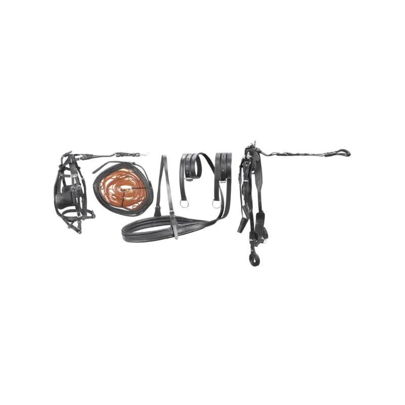 AMAHORSE - Harnais d'attelage complet 1 cheval en Cuir LUXE SHETLAND Achat Immdiat