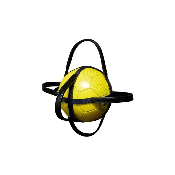 Enveloppe Courroies pour Ballon Horse Ball, NORTON taille 2 Nouvelle Collection