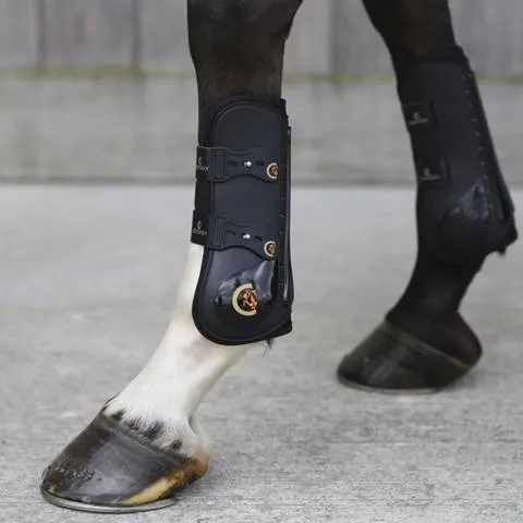 Prix Choc Gutres Elastic - Kentucky - brun - cheval
