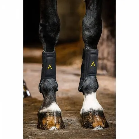 Prix Cass Gutres Adagio - Horseware - L