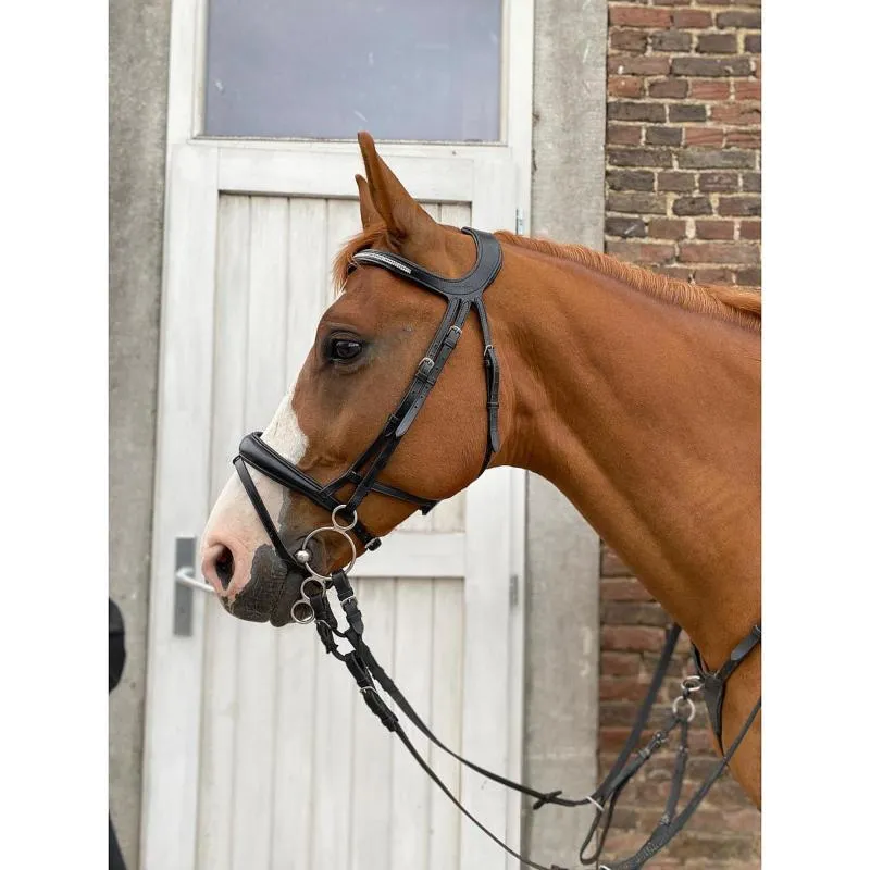 Affaire  Saisir HORKA – Bridon anatomique librant les cervicales CROWN PONEY en STOCK
