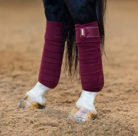 Promotion Saisonnire Bandes de polo New Maroon – Equestrian Stockholm – Bordeaux – Cheval